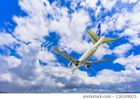 夏季 大阪機場（伊丹機場） 飛機降落大阪府豐中市 116109025