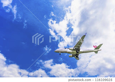 夏季 大阪機場(伊丹機場) 飛機降落大阪府豐中市 夏季 大阪機場(伊丹機場) 飛機降落大阪府豐中市 116109028