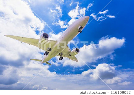 Osaka Airport (Itami Airport) in summer, landing plane, Toyonaka City, Osaka Prefecture 116109032