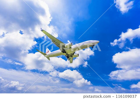 夏季 大阪機場(伊丹機場) 飛機降落大阪府豐中市 夏季 大阪機場(伊丹機場) 飛機降落大阪府豐中市 116109037