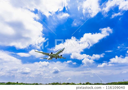 Osaka Airport (Itami Airport) in summer, landing plane, Toyonaka City, Osaka Prefecture 116109040
