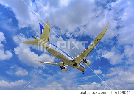 Osaka Airport (Itami Airport) in summer, landing plane, Toyonaka City, Osaka Prefecture 116109045