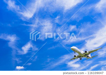 夏季 大阪機場(伊丹機場) 飛機降落大阪府豐中市 夏季 大阪機場(伊丹機場) 飛機降落大阪府豐中市 116109047