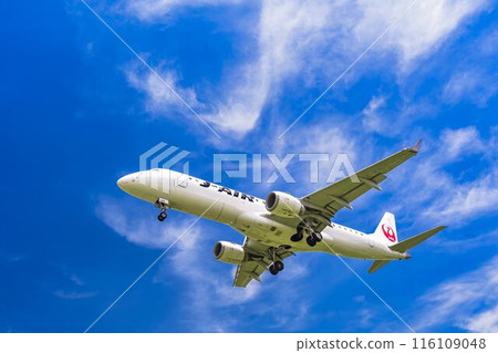 夏季 大阪機場(伊丹機場) 飛機降落大阪府豐中市 夏季 大阪機場(伊丹機場) 飛機降落大阪府豐中市 116109048