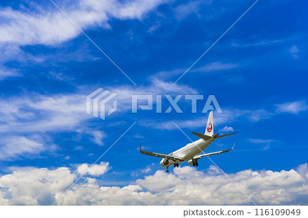 夏季 大阪機場(伊丹機場) 飛機降落大阪府豐中市 夏季 大阪機場(伊丹機場) 飛機降落大阪府豐中市 116109049