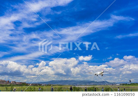Osaka Airport (Itami Airport) in summer, landing plane, Toyonaka City, Osaka Prefecture 116109050