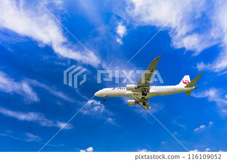 夏季 大阪機場（伊丹機場） 飛機降落大阪府豐中市 116109052