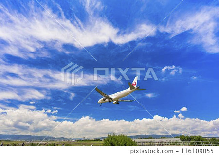Osaka Airport (Itami Airport) in summer, landing plane, Toyonaka City, Osaka Prefecture Osaka Airport (Itami Airport) in summer, landing plane, Toyonaka City, Osaka Prefecture 116109055