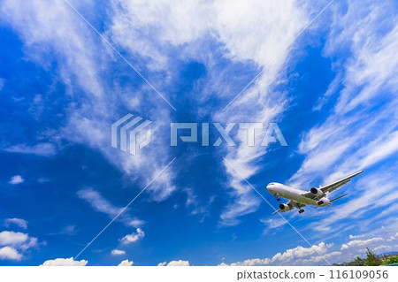 Osaka Airport (Itami Airport) in summer, landing plane, Toyonaka City, Osaka Prefecture 116109056