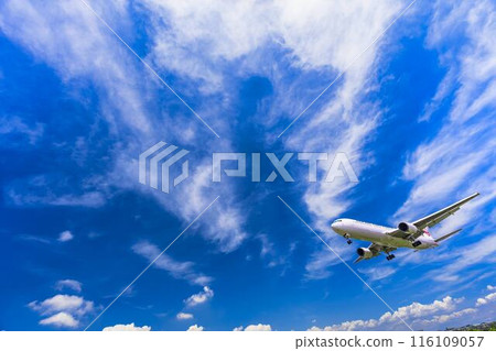 夏季 大阪機場（伊丹機場） 飛機降落大阪府豐中市 116109057