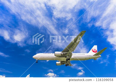 夏季 大阪機場(伊丹機場) 飛機降落大阪府豐中市 夏季 大阪機場(伊丹機場) 飛機降落大阪府豐中市 116109058