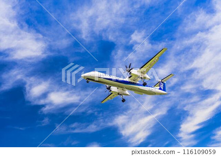 夏季 大阪機場(伊丹機場) 飛機降落大阪府豐中市 夏季 大阪機場(伊丹機場) 飛機降落大阪府豐中市 116109059