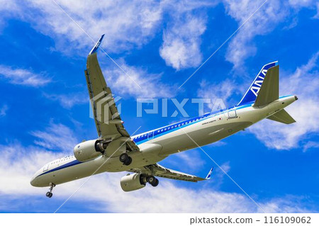 夏季 大阪機場(伊丹機場) 飛機降落大阪府豐中市 夏季 大阪機場(伊丹機場) 飛機降落大阪府豐中市 116109062