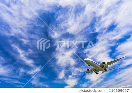 夏季 大阪機場(伊丹機場) 飛機降落大阪府豐中市 夏季 大阪機場(伊丹機場) 飛機降落大阪府豐中市 116109067