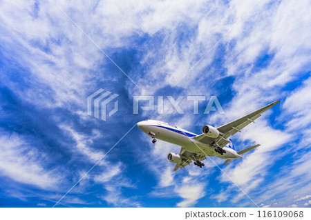 夏季 大阪機場(伊丹機場) 飛機降落大阪府豐中市 夏季 大阪機場(伊丹機場) 飛機降落大阪府豐中市 116109068