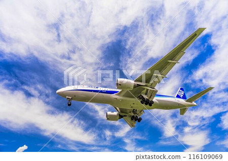 夏季 大阪機場(伊丹機場) 飛機降落大阪府豐中市 夏季 大阪機場(伊丹機場) 飛機降落大阪府豐中市 116109069