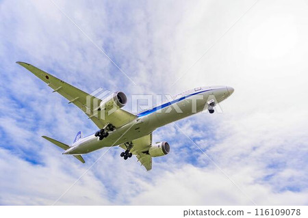 夏季 大阪機場（伊丹機場） 飛機降落大阪府豐中市 116109078