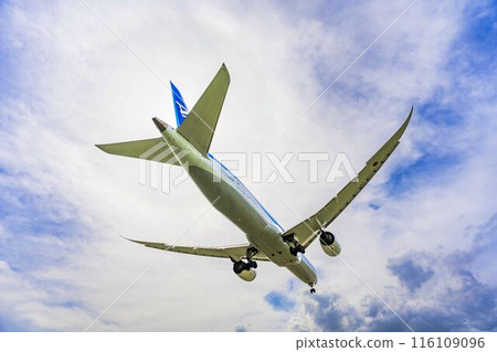 Osaka Airport (Itami Airport) in summer, landing plane, Toyonaka City, Osaka Prefecture 116109096