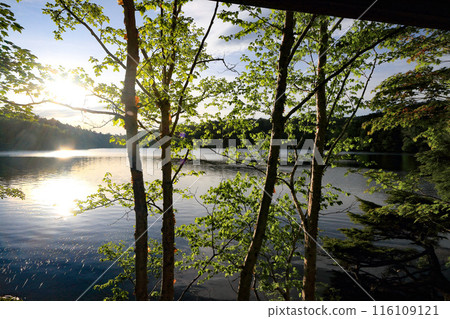 Morning white pond Morning white pond 116109121