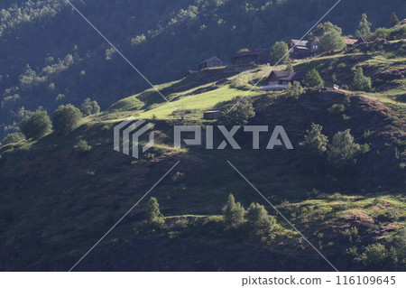 挪威峽灣的綠色峽谷景觀 116109645