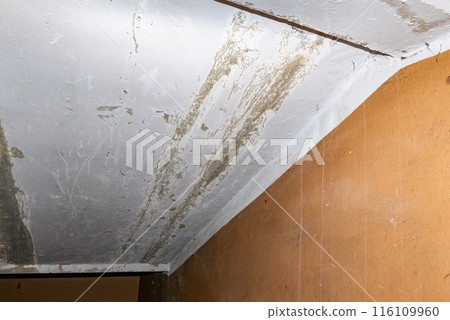 Damage ceiling from water pipelines leakage. Housing problem concept 116109960