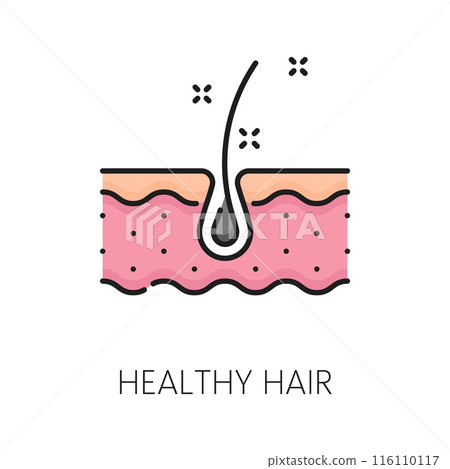 Hair care and treatment outline color icon. Bathroom cosmetics thin line symbol, spa salon styling and woman beauty treatment product line vector sign or pictogram with healthy hair follicle Hair care and treatment outline color icon. Bathroom cosmetics thin line symbol, spa salon styling and woman beauty treatment product line vector sign or pictogram with healthy hair follicle 116110117