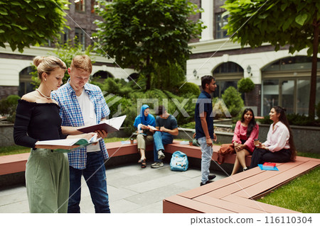 Group of diverse students, boys and girls of different nationality studying outdoors the university campus. Multiracial friends Group of diverse students, boys and girls of different nationality studying outdoors the university campus. Multiracial friends 116110304