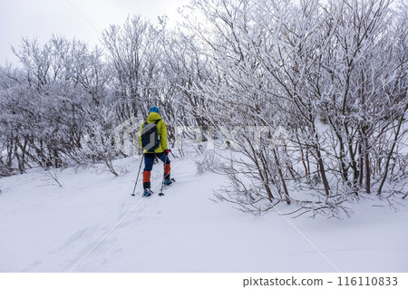 Image of snowshoe hiking at Oyama Kyoganari 116110833