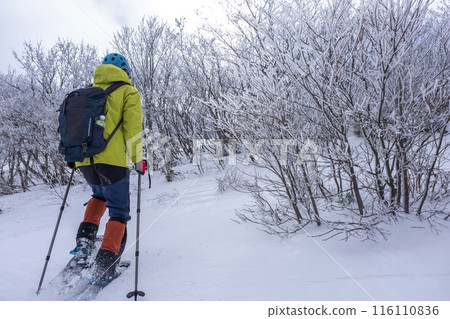 Image of snowshoe hiking at Oyama Kyoganari Image of snowshoe hiking at Oyama Kyoganari 116110836