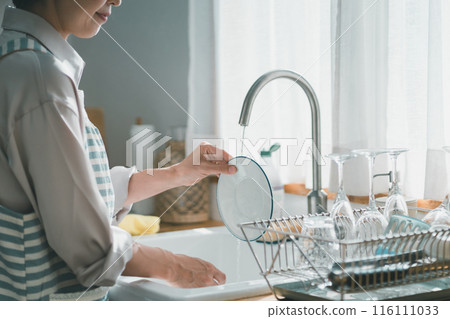 Washing Dishes, homemaker, female 116111033