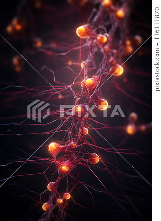 Neural network concept with color-coded cells illustration Neural network concept with color-coded cells illustration 116111870