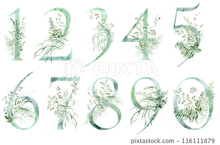 Green numbers with Watercolor whimsical tender leaves isolated illustration, wedding element Green numbers with Watercolor whimsical tender leaves isolated illustration, wedding element 116111879