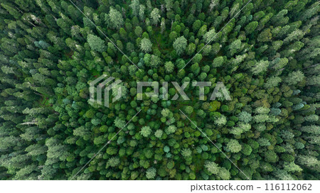 Aerial view of beautiful forest mountain landscape Aerial view of beautiful forest mountain landscape 116112062