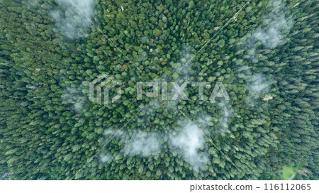 Aerial view of beautiful high altitude forest mountain landscape Aerial view of beautiful high altitude forest mountain landscape 116112065