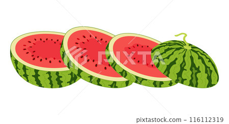 Chopped red watermelon. Hand drawn flat style cut summer fruit 116112319