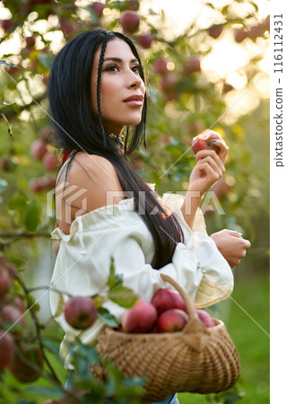 Beautiful young woman holding fresh ripe apple in hand, wanting to take a bite of it. Close up of Caucasian female with wicker basket, enjoying red apple, while walking in garden. Concept of harvest. 116112431