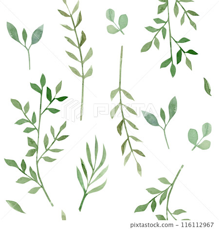 Plant pattern on white background. Watercolor hand-drawn illustration 116112967