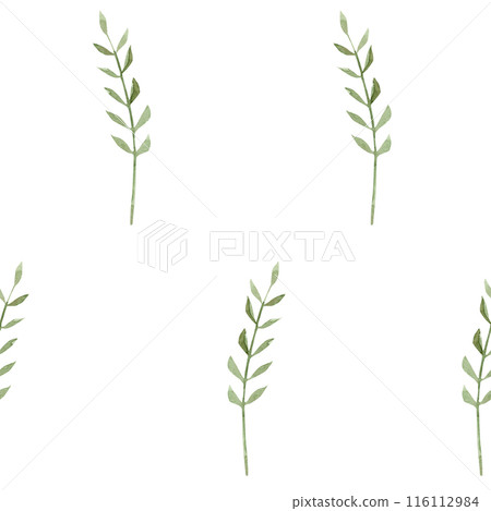 Plant pattern on white background. Watercolor hand-drawn illustration 116112984