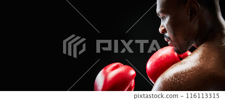 Close-up of a muscular athlete, ready to fight, with focused and intense look isolated on black background 116113315