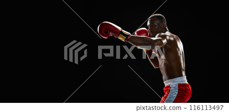 Muscular focused African-American man with shirtless body practicing boxing stances, training isolated on black background Muscular focused African-American man with shirtless body practicing boxing stances, training isolated on black background 116113497