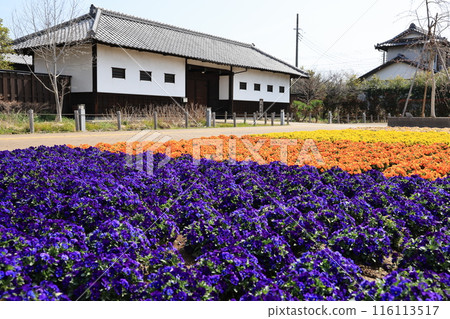 Scenery of Hanaku no Sato, Konosu City, Saitama Prefecture 116113517