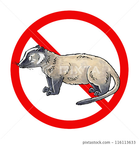 果子狸禁止標誌 果子狸禁止標誌 116113633