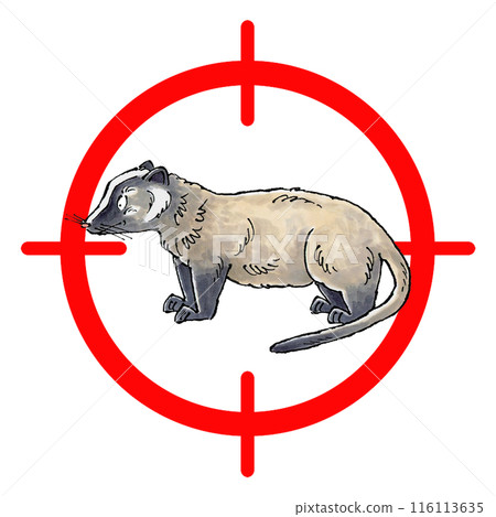 Palm civet target mark Palm civet target mark 116113635
