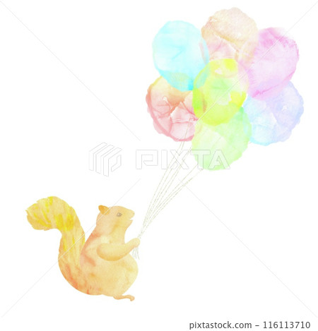 可愛的松鼠圖標,手裡拿著一堆彩色氣球。水彩插圖。 可愛的松鼠圖標,手裡拿著一堆彩色氣球。水彩插圖。 116113710