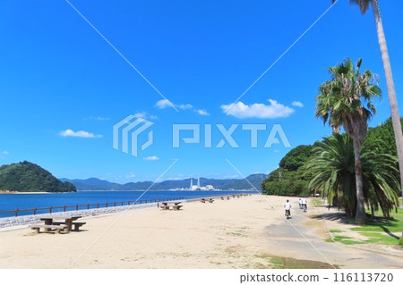 [廣島縣] 瀨戶內海國立公園 大久野島 116113720