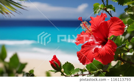 AI-generated image: Hibiscus and blue sea 116113793