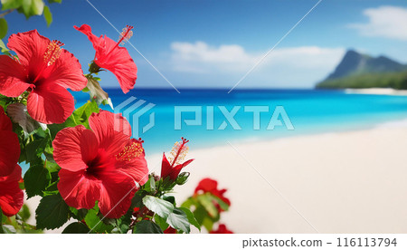 AI-generated image: Hibiscus and blue sea 116113794