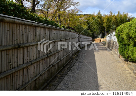 Kyoto in spring in Japan, the streets around Arashiyama, near the tourist attraction bamboo forest path, bamboo fences with a Japanese feel, beautiful cherry blossoms and fresh greenery Kyoto in spring in Japan, the streets around Arashiyama, near the tourist attraction bamboo forest path, bamboo fences with a Japanese feel, beautiful cherry blossoms and fresh greenery 116114094