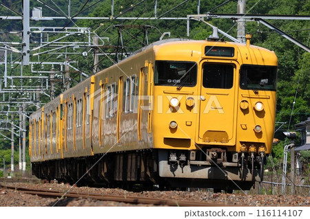 [JR West] 115 series (Hakubi Line: Mibukuro - Hiba) 116114107