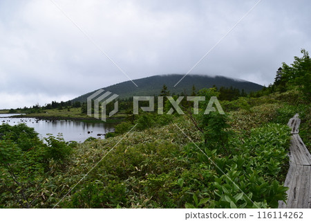 Azuma的山峰 116114262